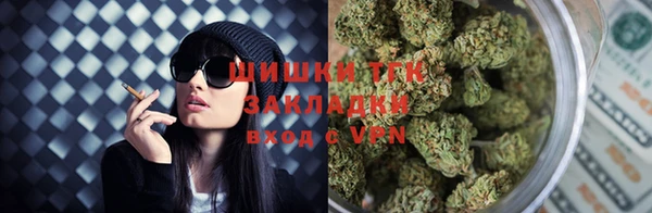 хмурый Нея