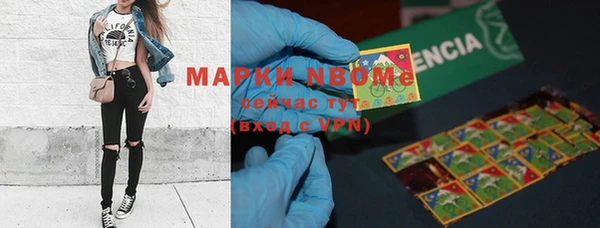 хмурый Нея