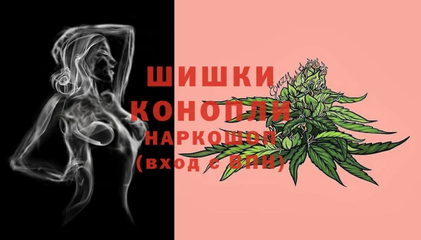 шишки Нефтегорск