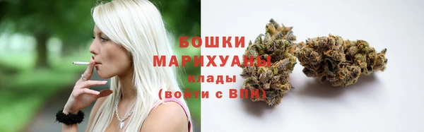 шишки Нефтегорск