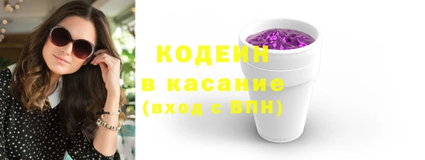 хмурый Нея