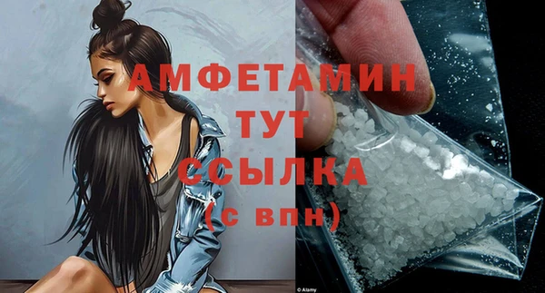 хмурый Нея