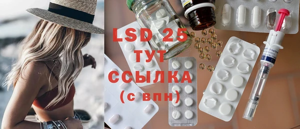 сатива Надым