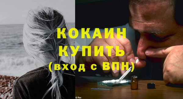 шишки Нефтегорск