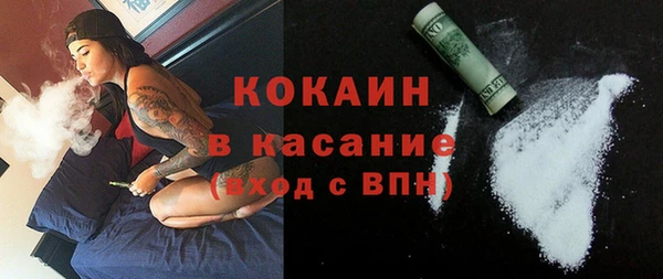 сатива Надым
