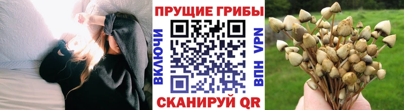 Галлюциногенные грибы Psilocybe  omg маркетплейс  Мирный 