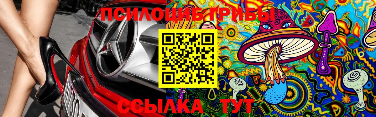 Псилоцибиновые грибы Cubensis  закладки  Мирный 